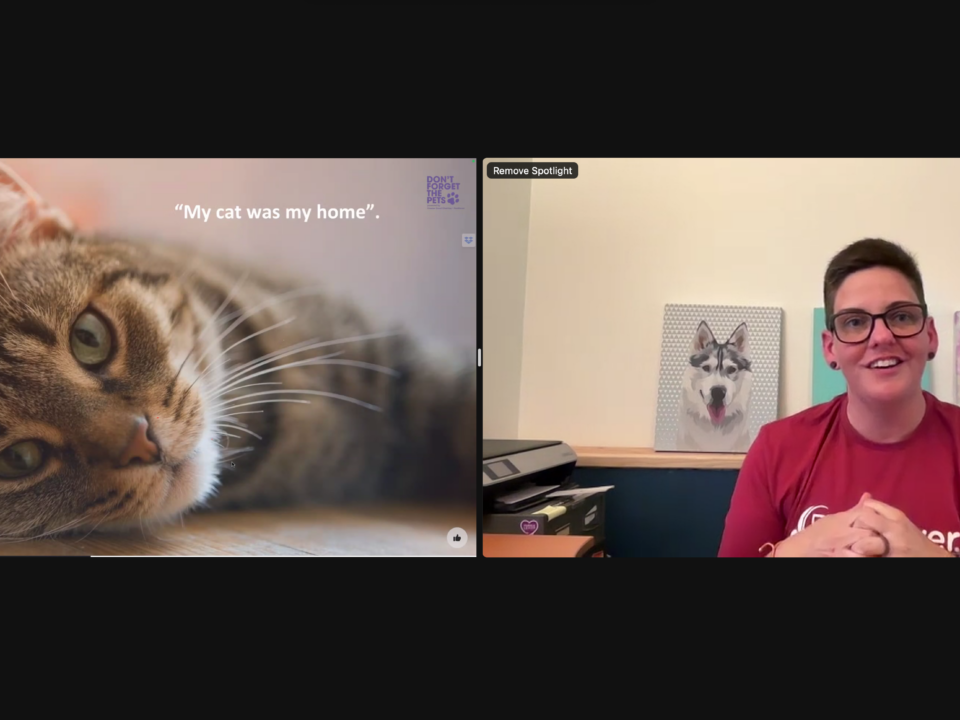 woman on Zoom video call screensharing a photo of a cat with the caption "My cat is my home"